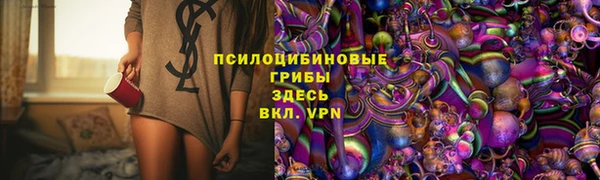 метадон Арсеньев