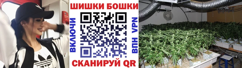 Бошки Шишки SATIVA & INDICA  где купить наркотик  блэк спрут ССЫЛКА  Спас-Деменск 